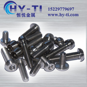  ISO 7380 titanium bolts 